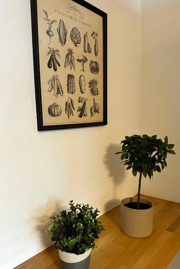 City-Apartment In Krefeld - Beuys Apartments - Krefeld Ngoại thất bức ảnh